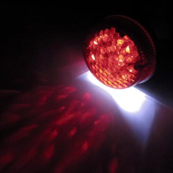 LED Rücklicht rund rot mit Kennzeichenbeleuchtung E-geprüft